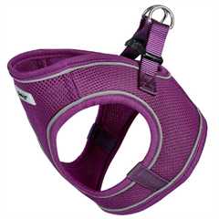 Bunty Voyage Harness - Purple